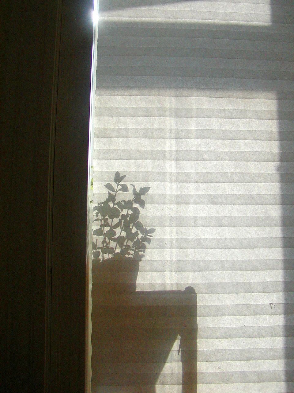 window blind shadow free photo