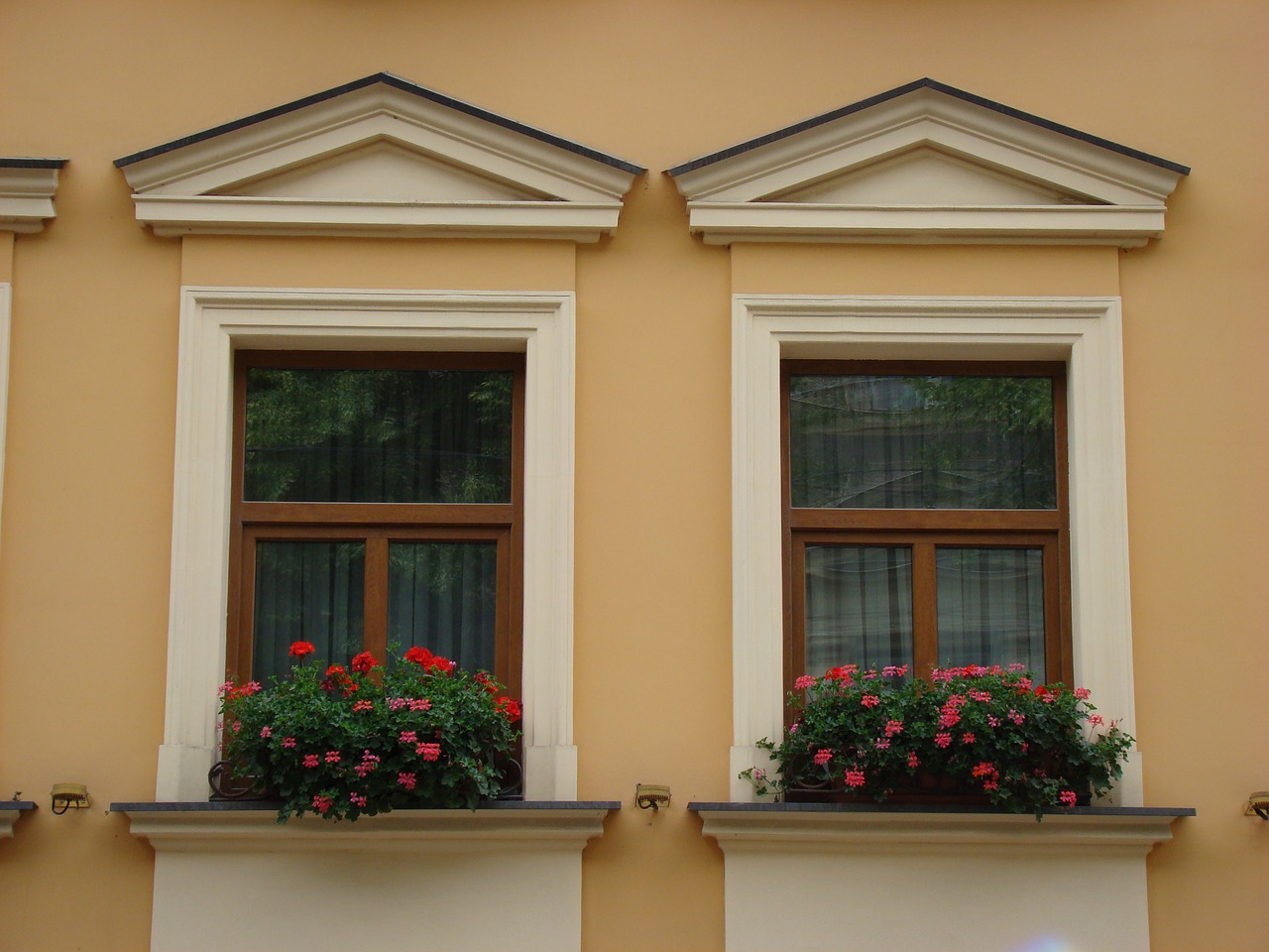 window  geranium  house free photo