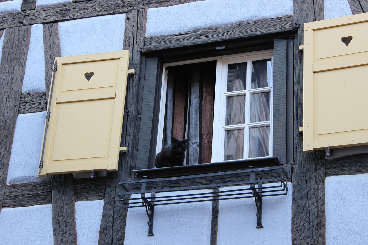 window  black cat  fachwerkhaus free photo