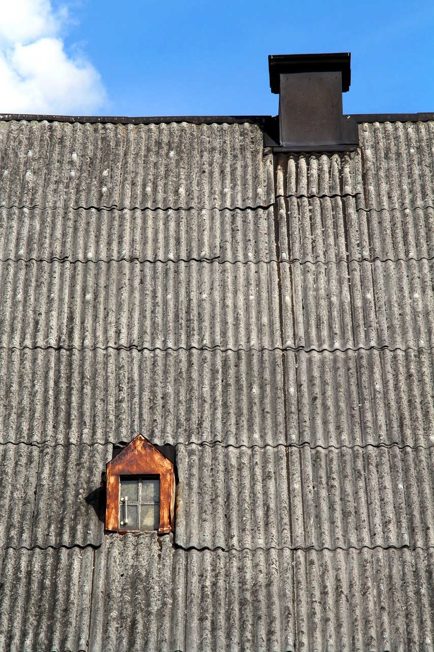 window  chimney  the roof of the free photo