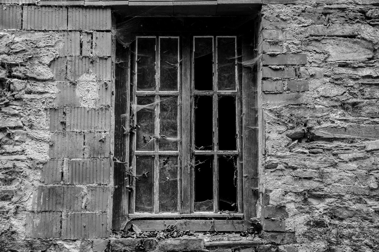 window leave brittle free photo
