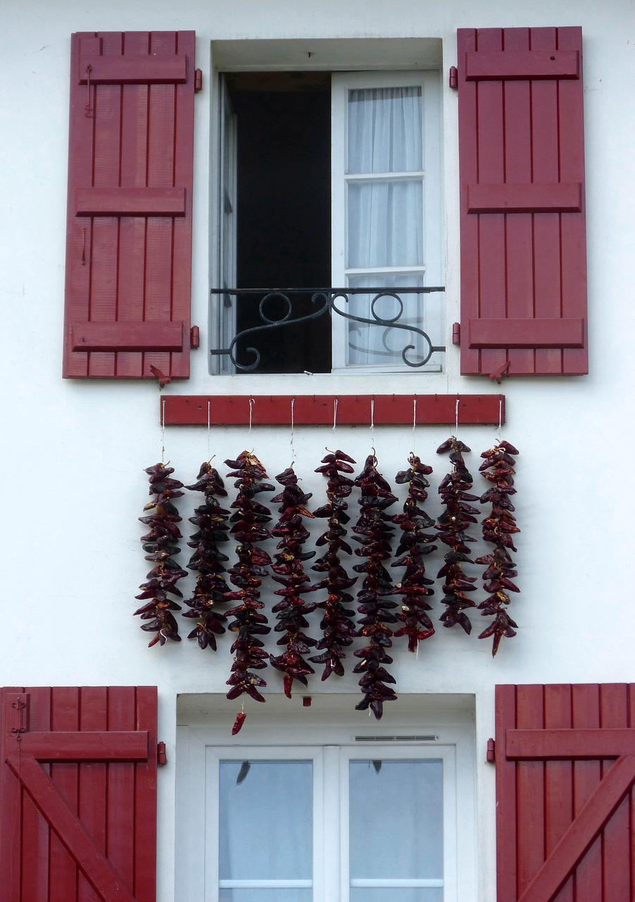 window  shutter  architecture free photo