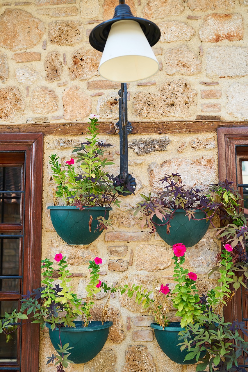 window  flowerpot  wall free photo