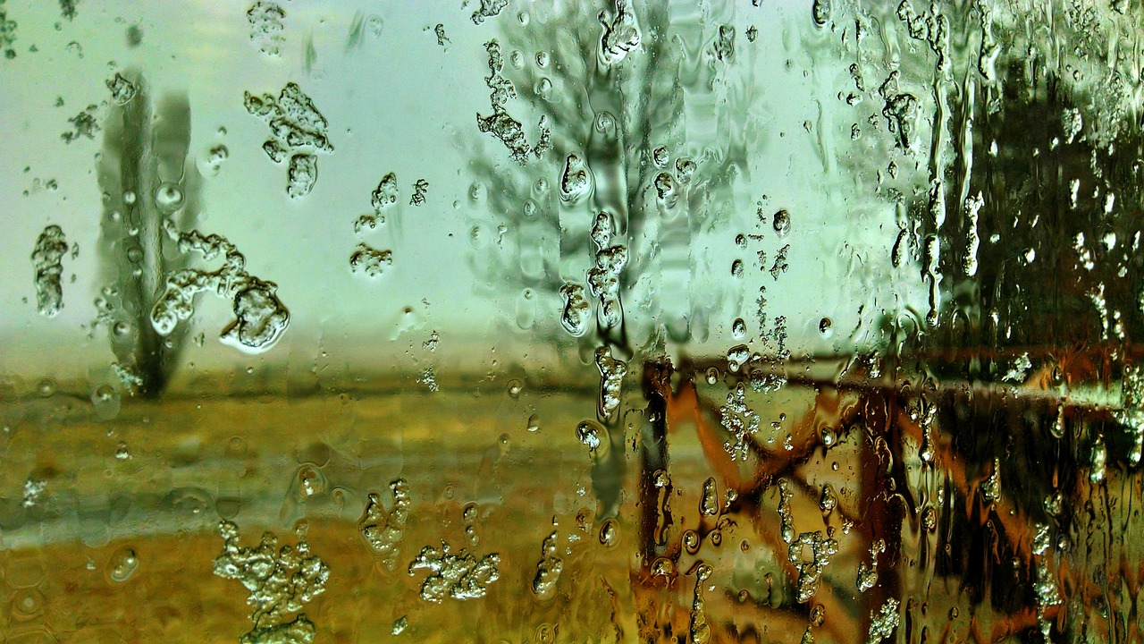 window wet frost free photo
