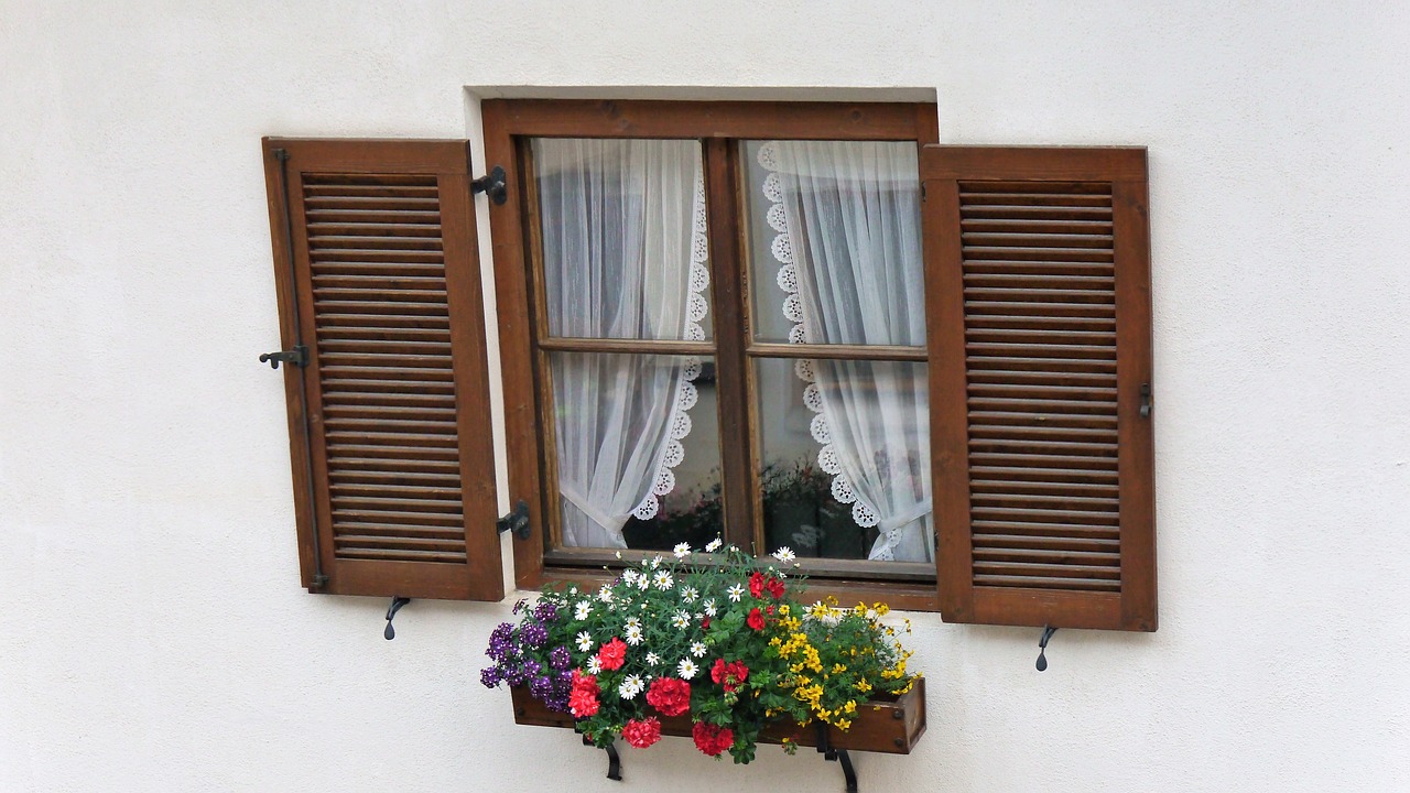 window  windows  flowers free photo