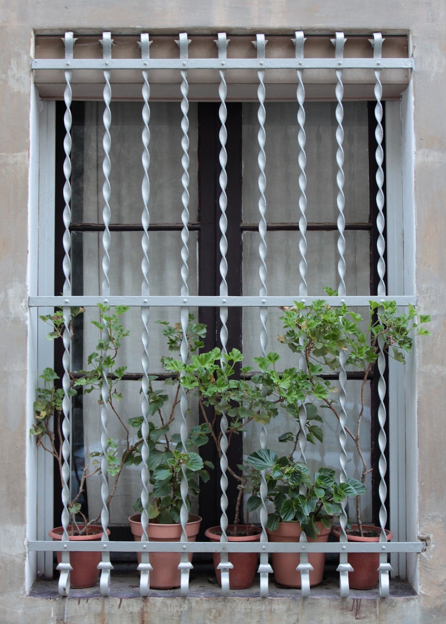 window  decorative  design free photo