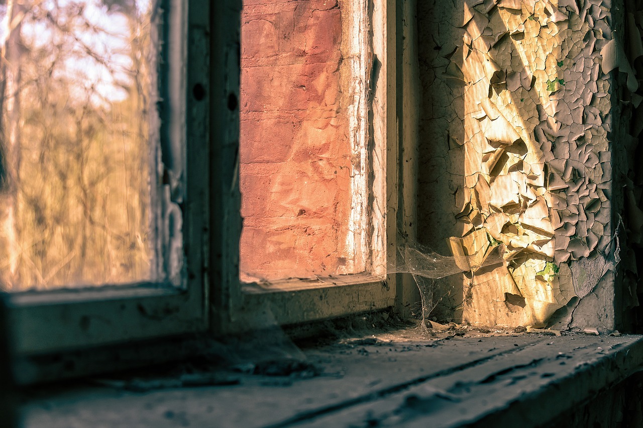 window  cobweb  web free photo