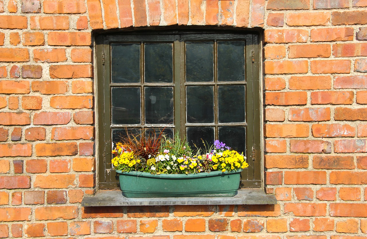 window  box  house free photo