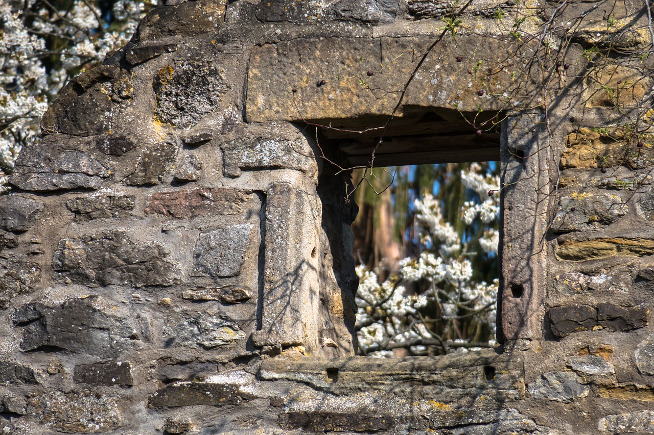 window  ruin  castle free photo