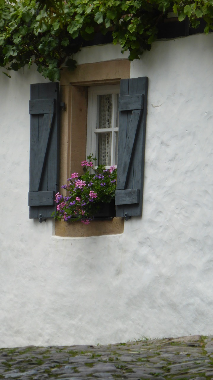 window shutter flower box free photo