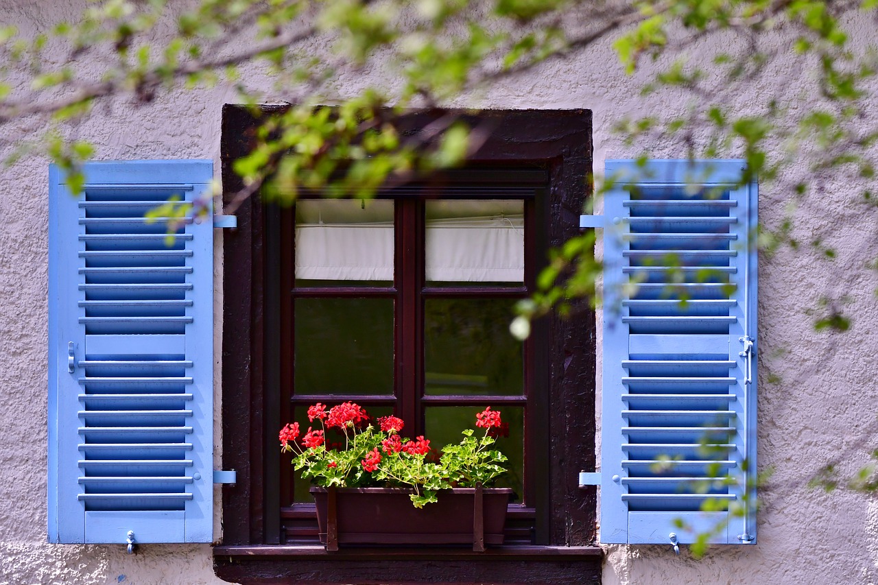 window  shutters  geranium free photo