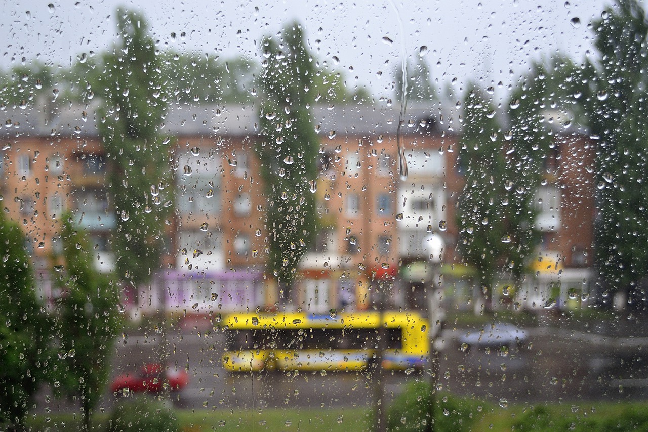 window  rain  drops free photo