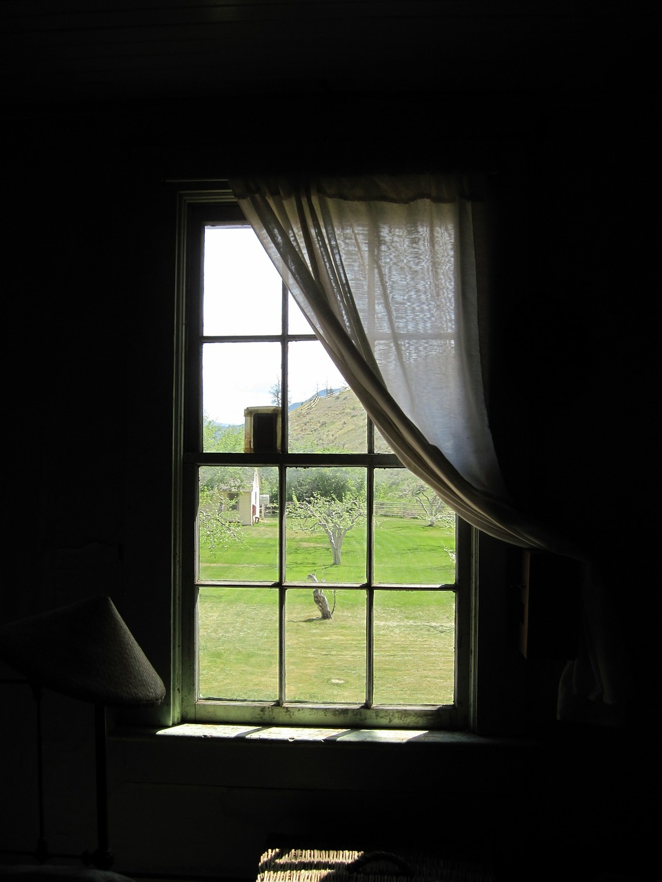 window curtain curtains free photo