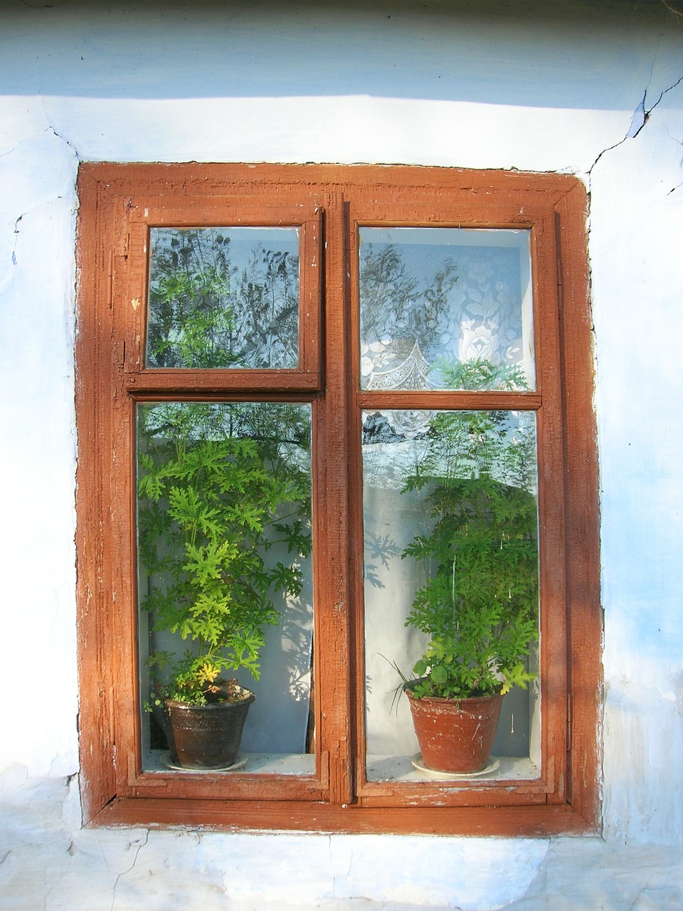 window house cottage free photo