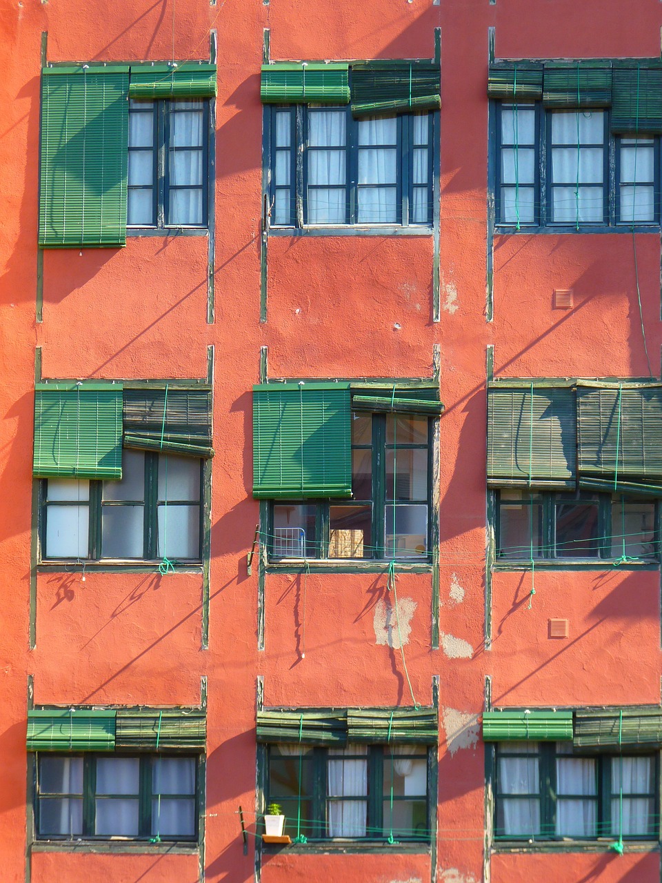 window blinds green free photo