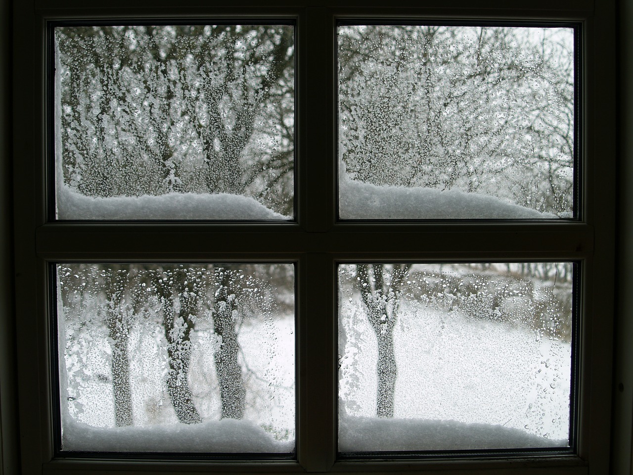 window snow lattice windows free photo