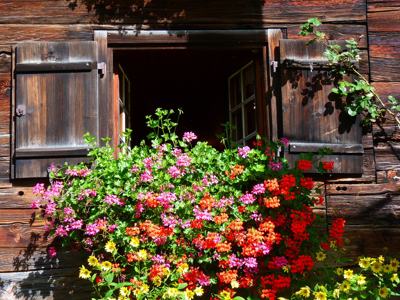 window farmhouse floral decorations free photo