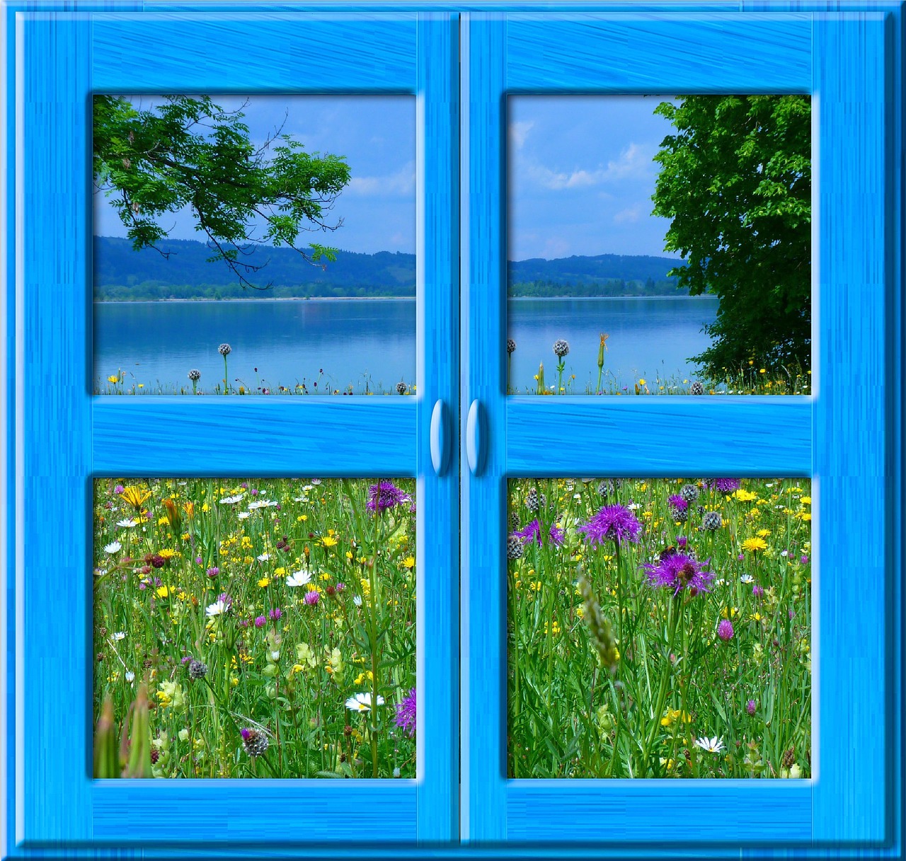 window nature flowers free photo