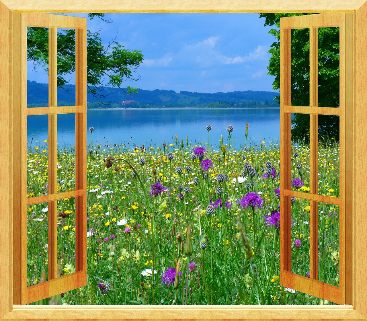 window nature meadow free photo