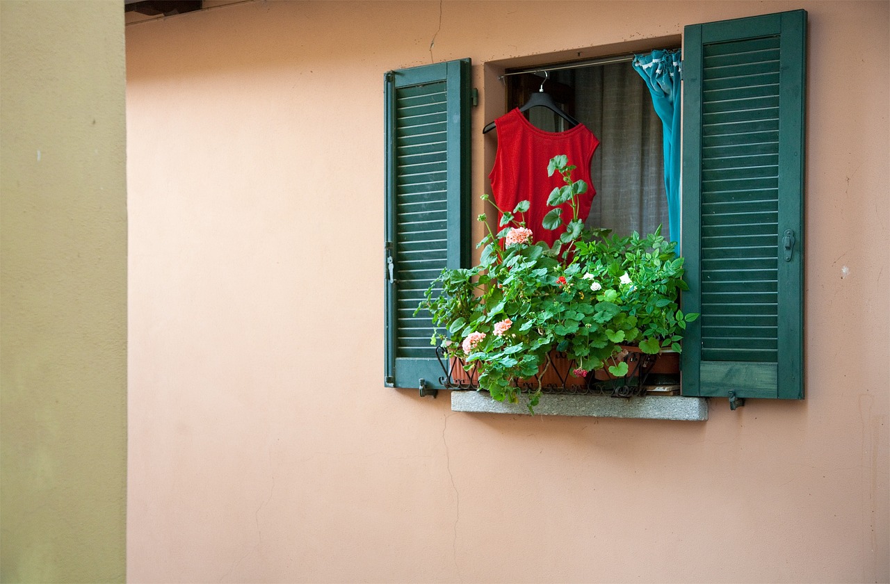 window flowers italy free photo