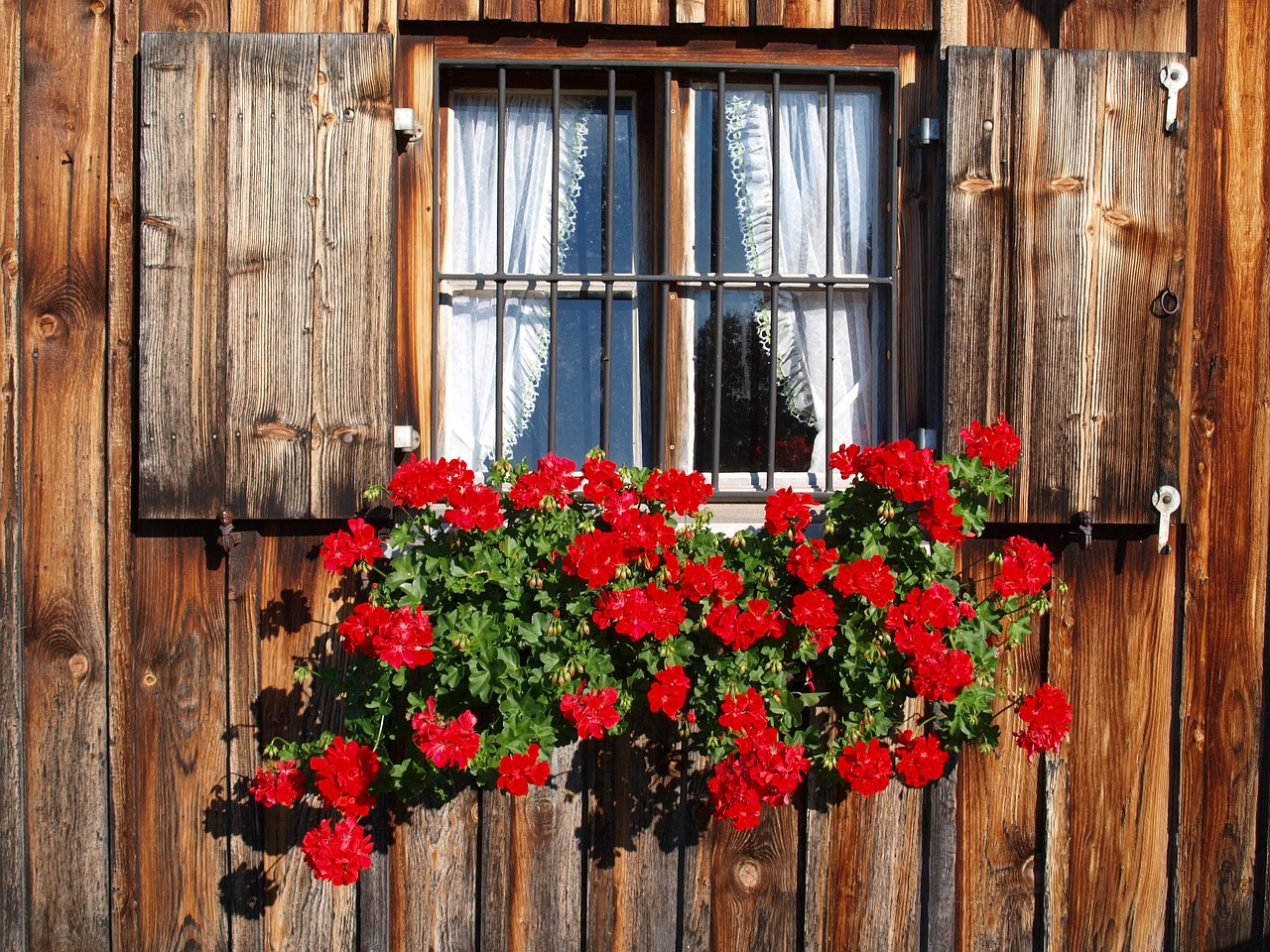 window wooden windows shutters free photo