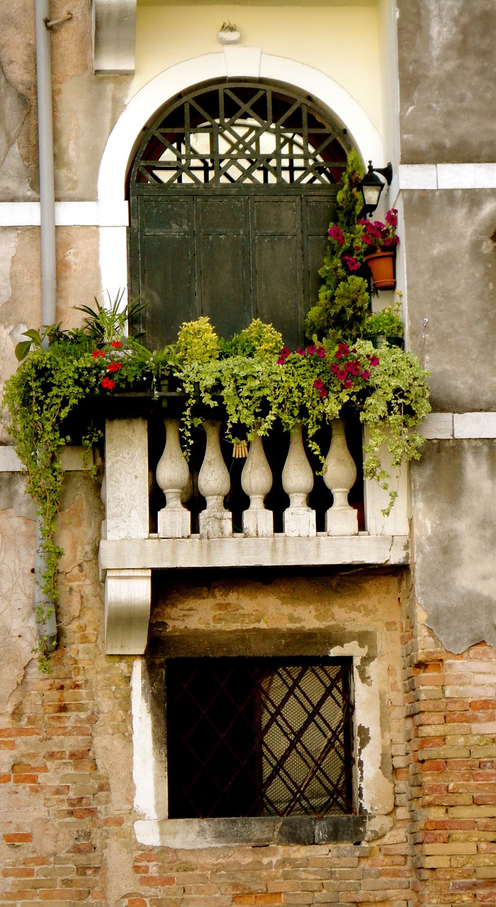 window venetian flowers free photo