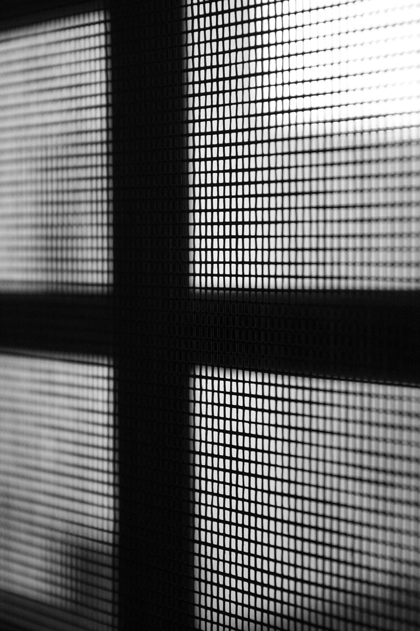 window grid wire free photo