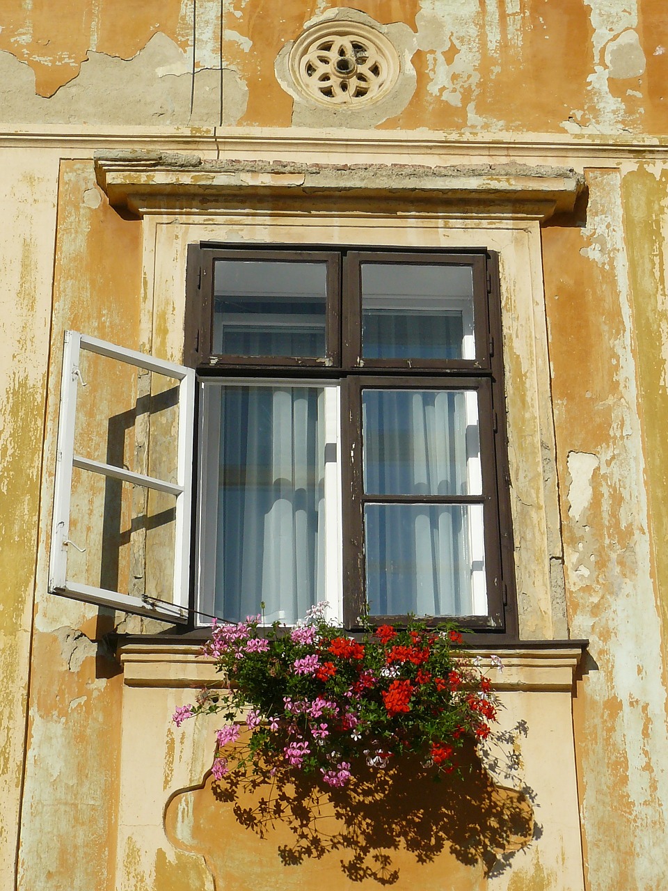 window old geranium free photo