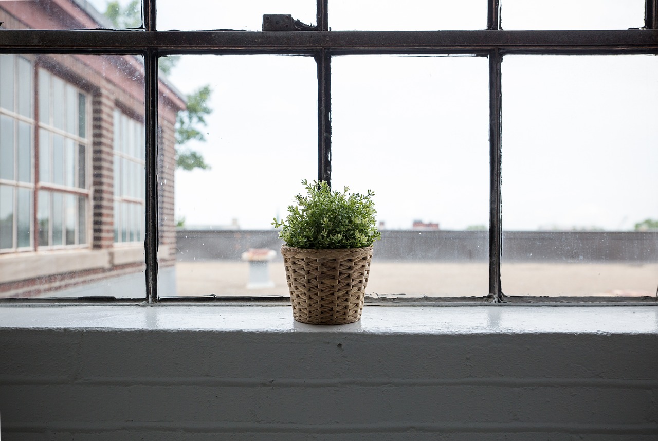 window nature interior free photo