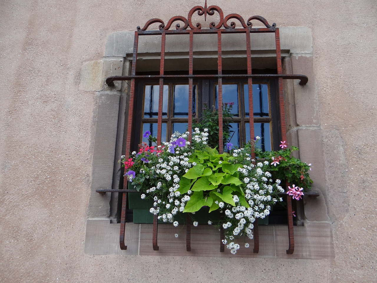 window grid flowers free photo