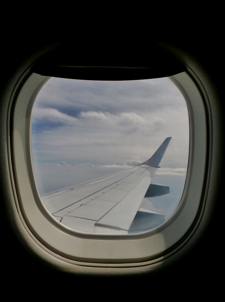 window window seat aircraft free photo