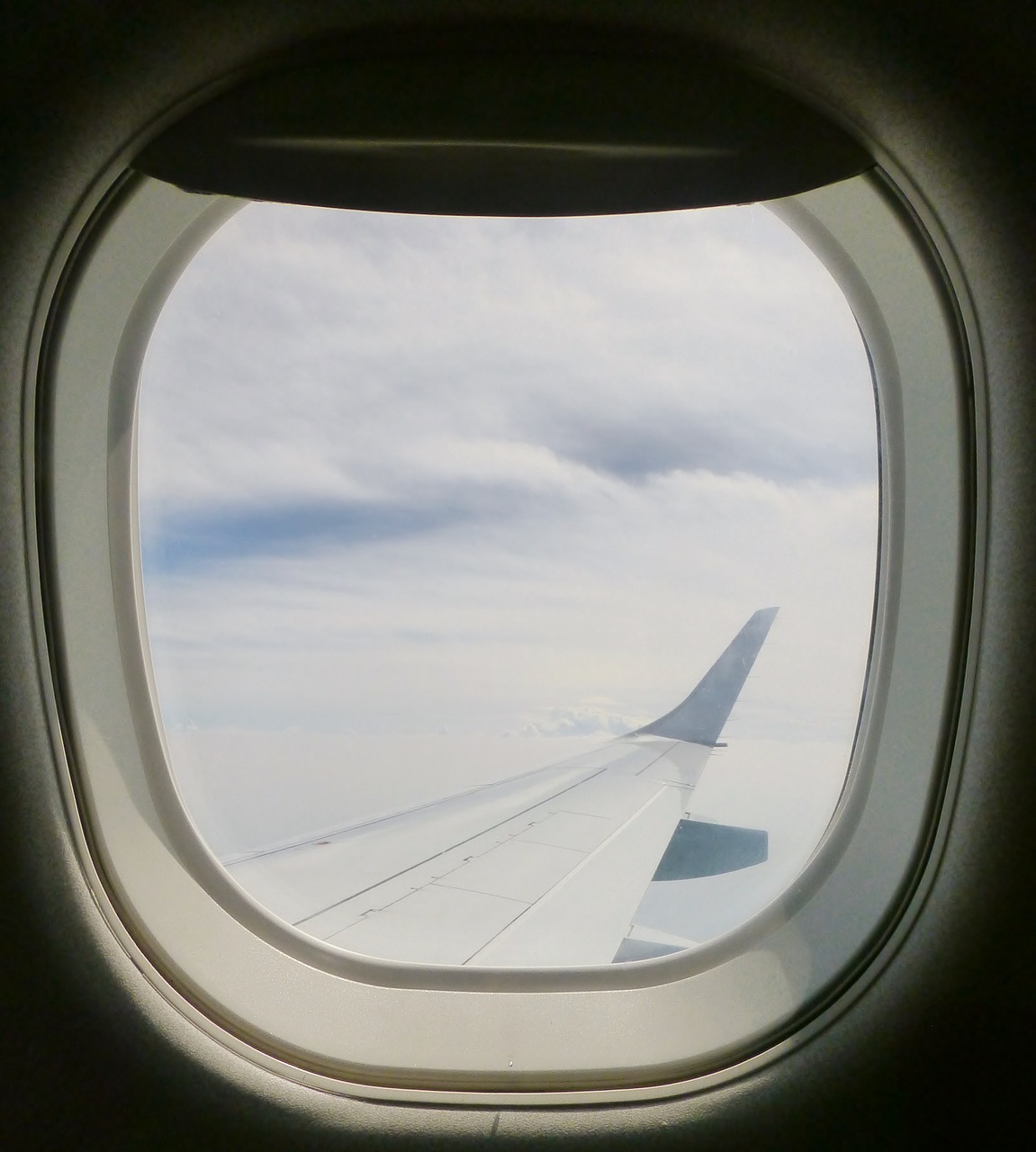 window window seat aircraft free photo