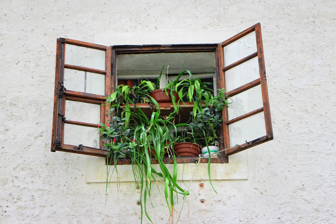 window old old window free photo