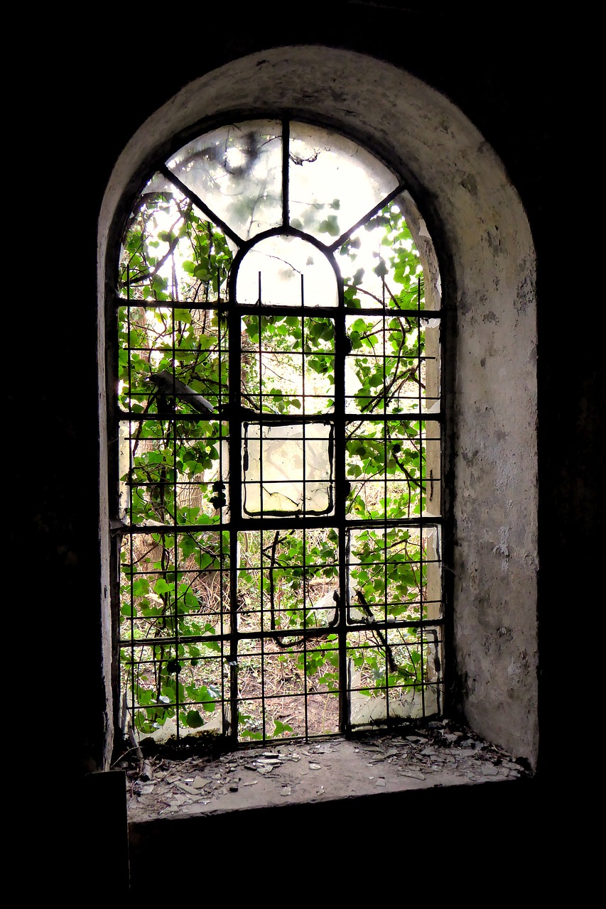 window old grid free photo