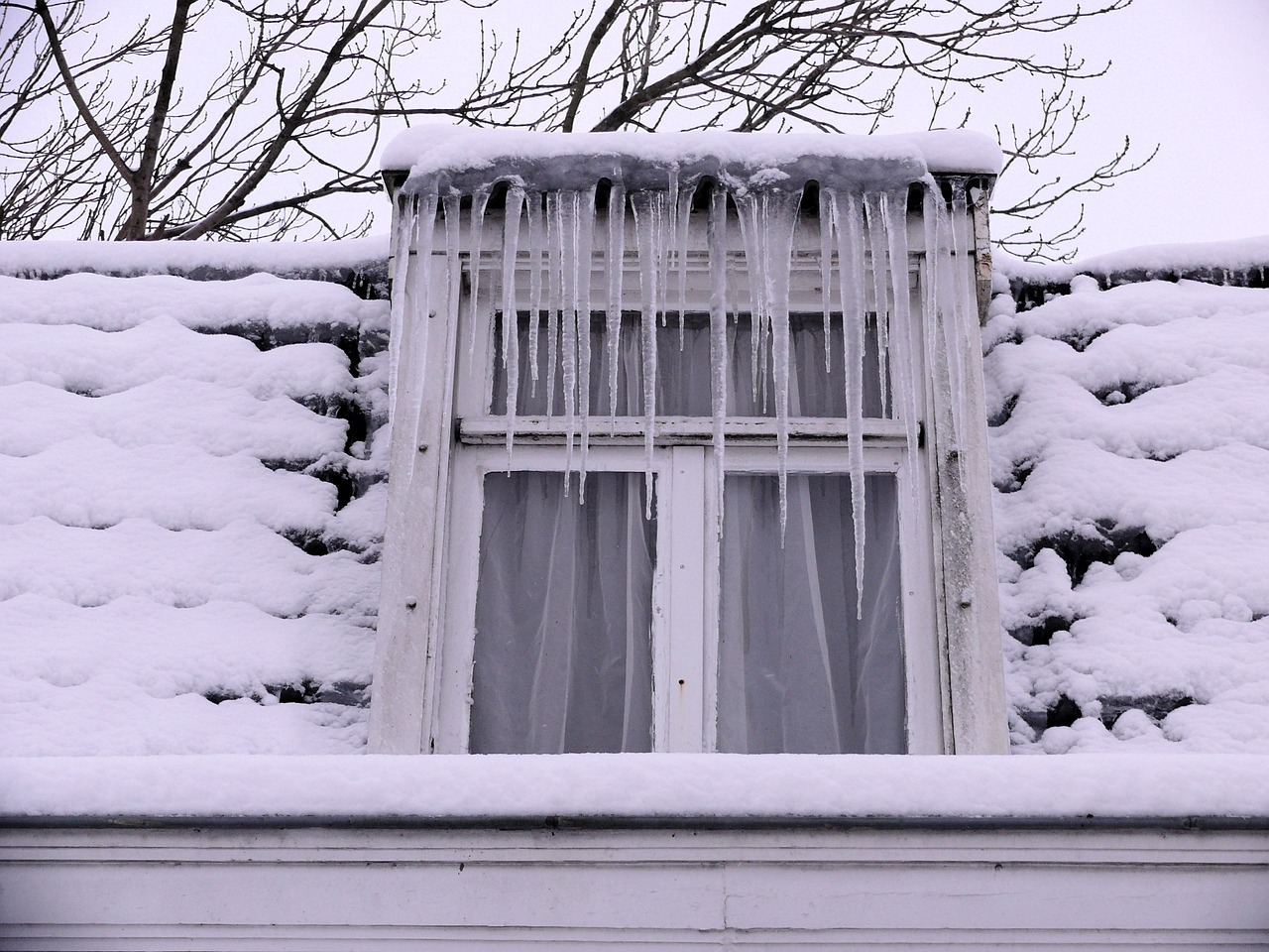 window icicles winter free photo