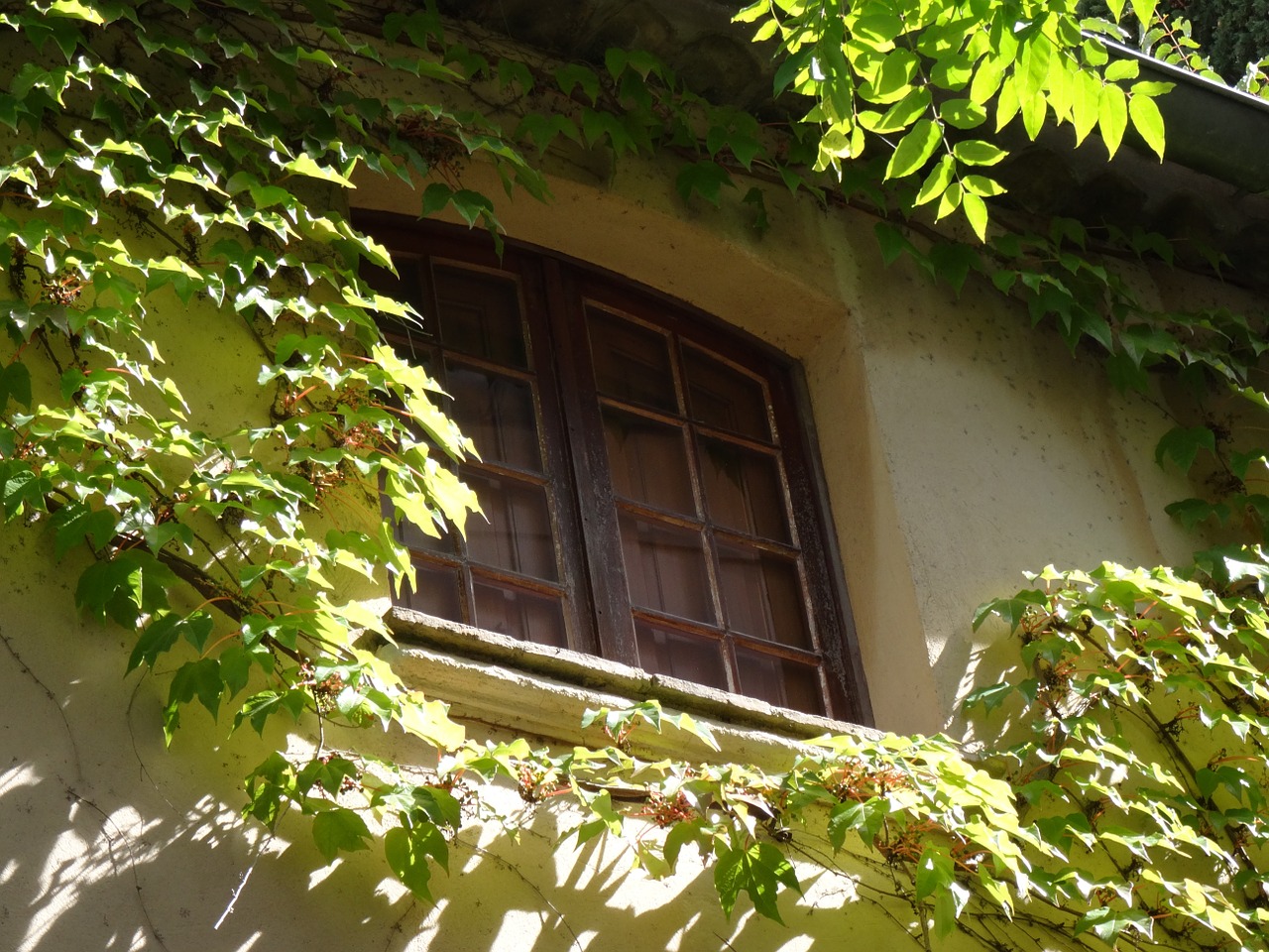 window shutters architecture free photo
