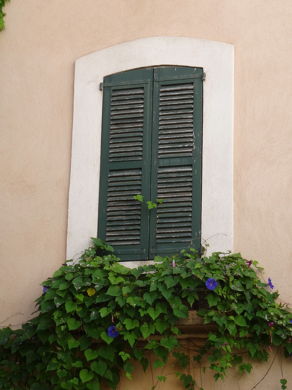 window shutters architecture free photo