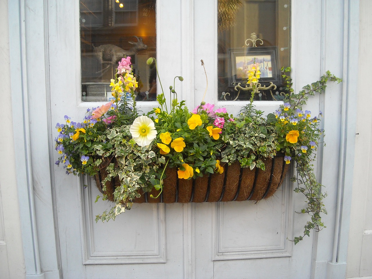 window box flowers window free photo