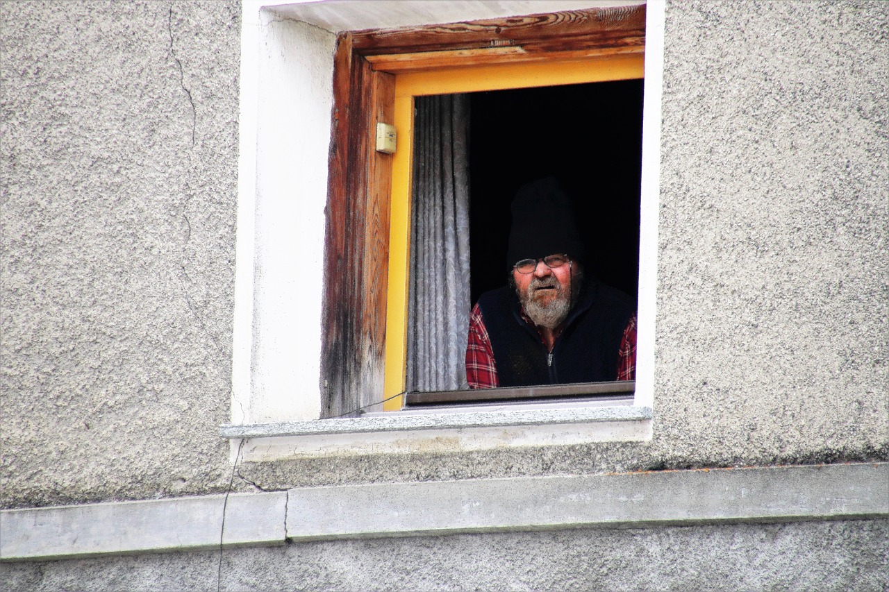 window sill a person window free photo