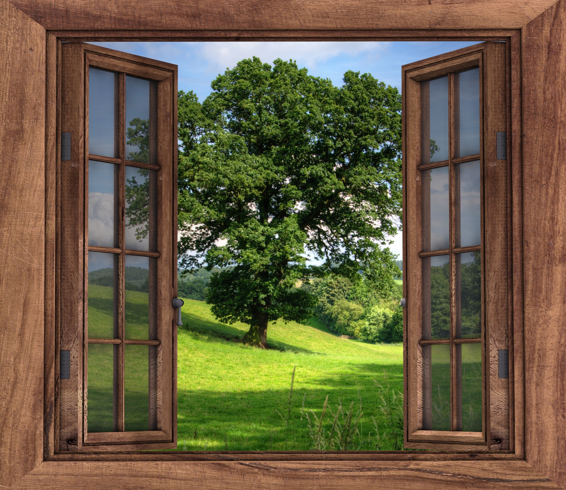 Windowopenviewtreelandscape Free Image From