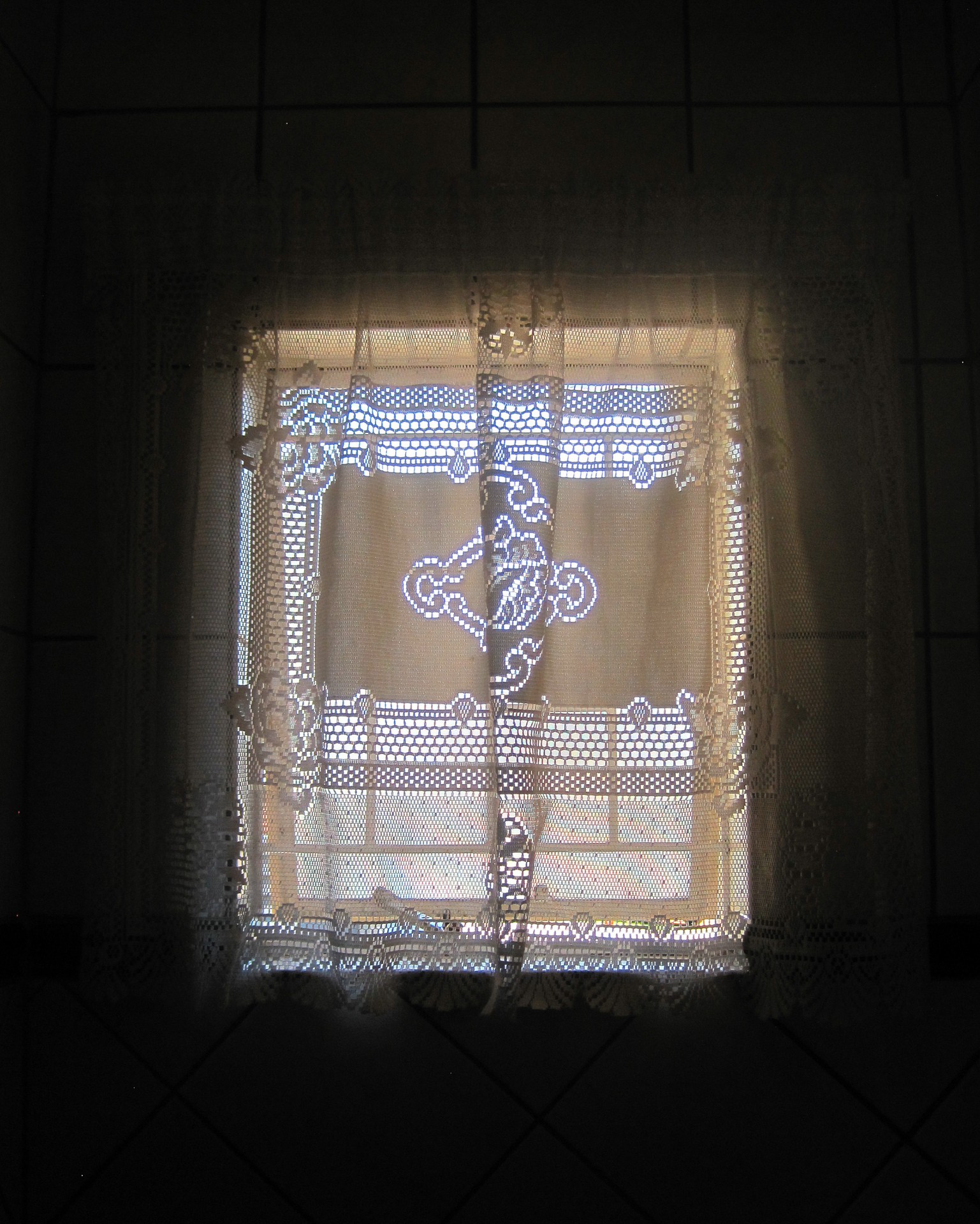 window curtain lace free photo