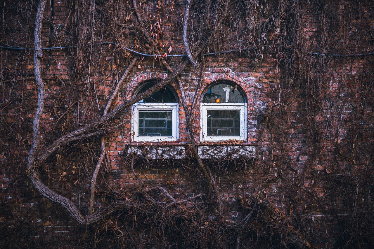 windows brick branches free photo