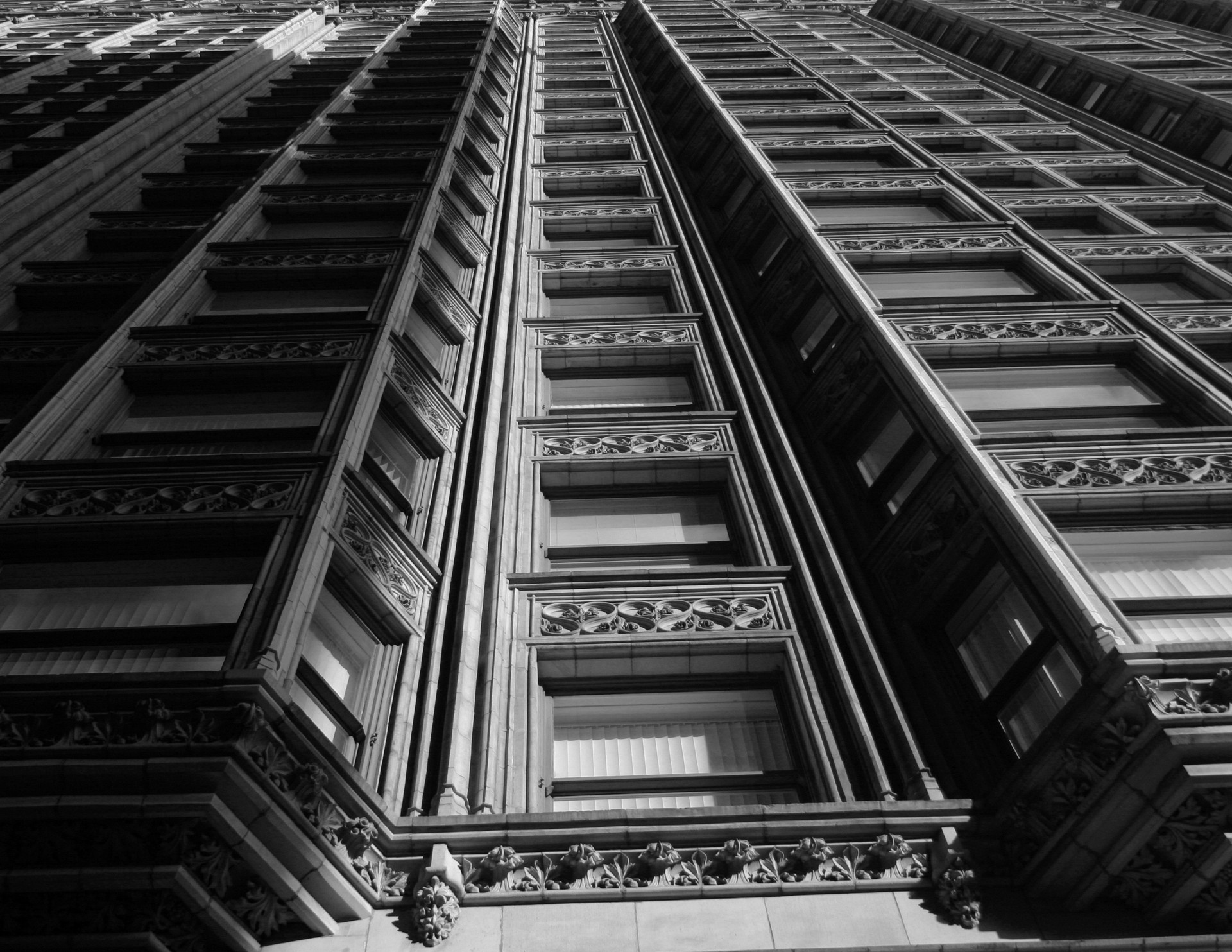 windows chicago windows free photo