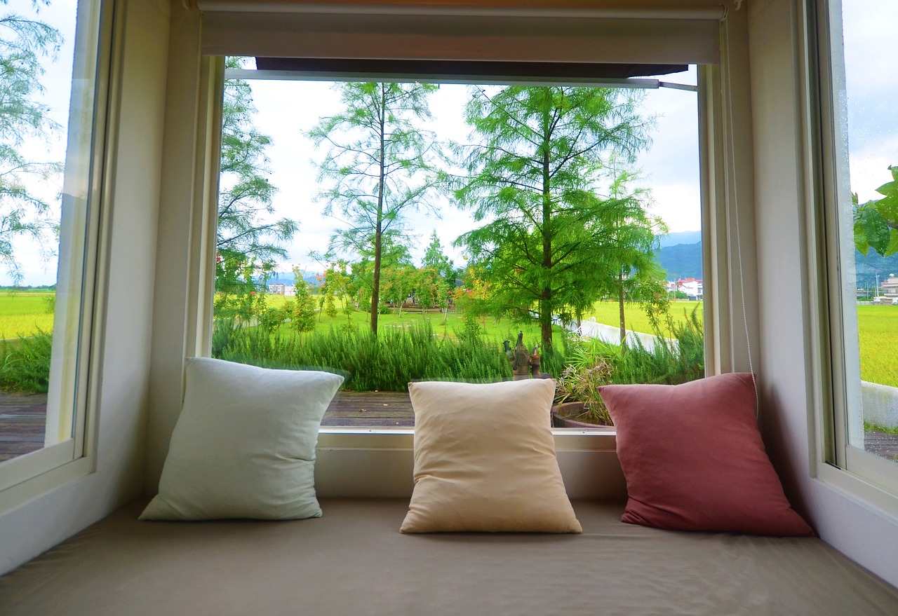 windows ilan in rice field free photo