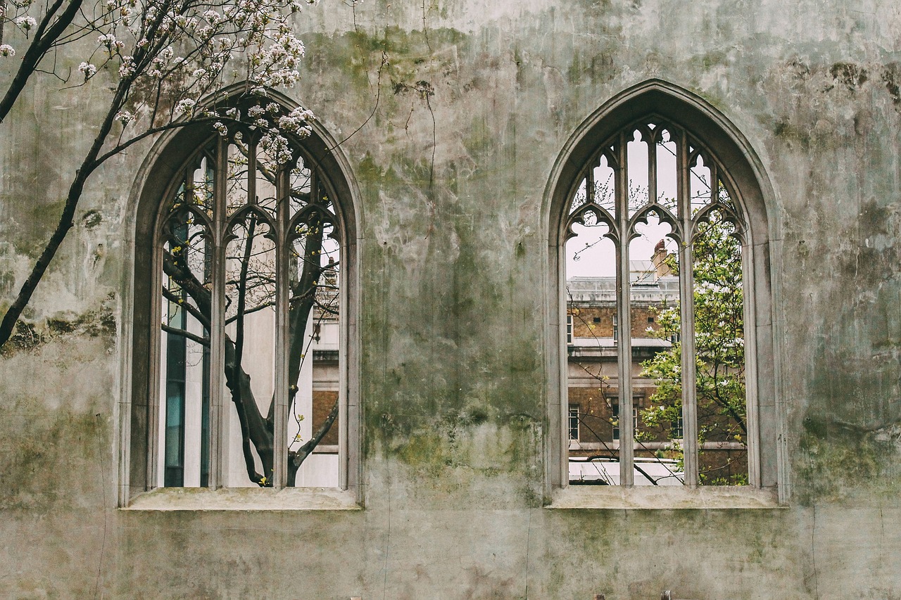 windows old trees free photo