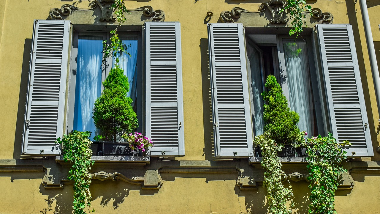 windows  old  architecture free photo