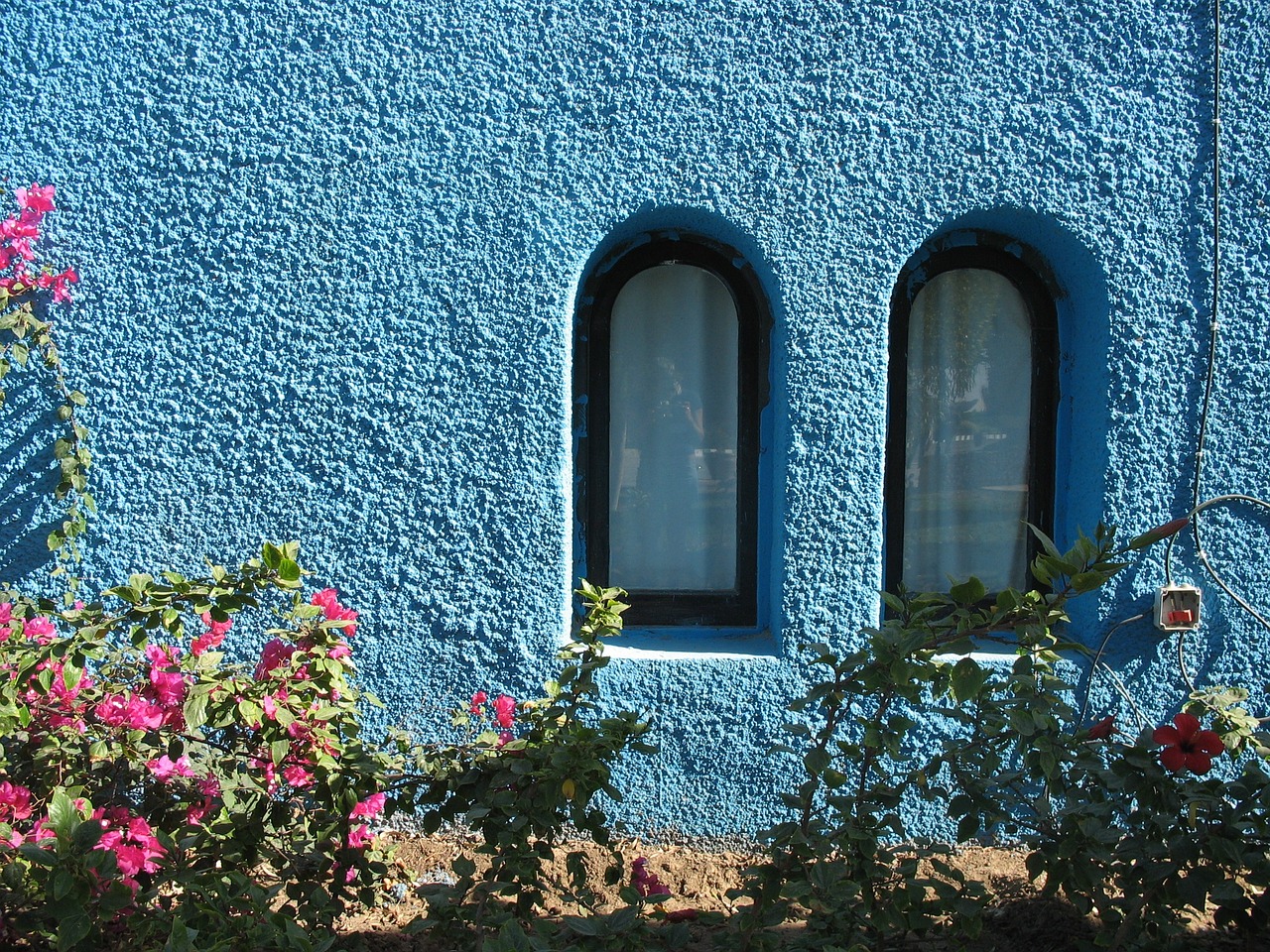 windows wall egypt free photo