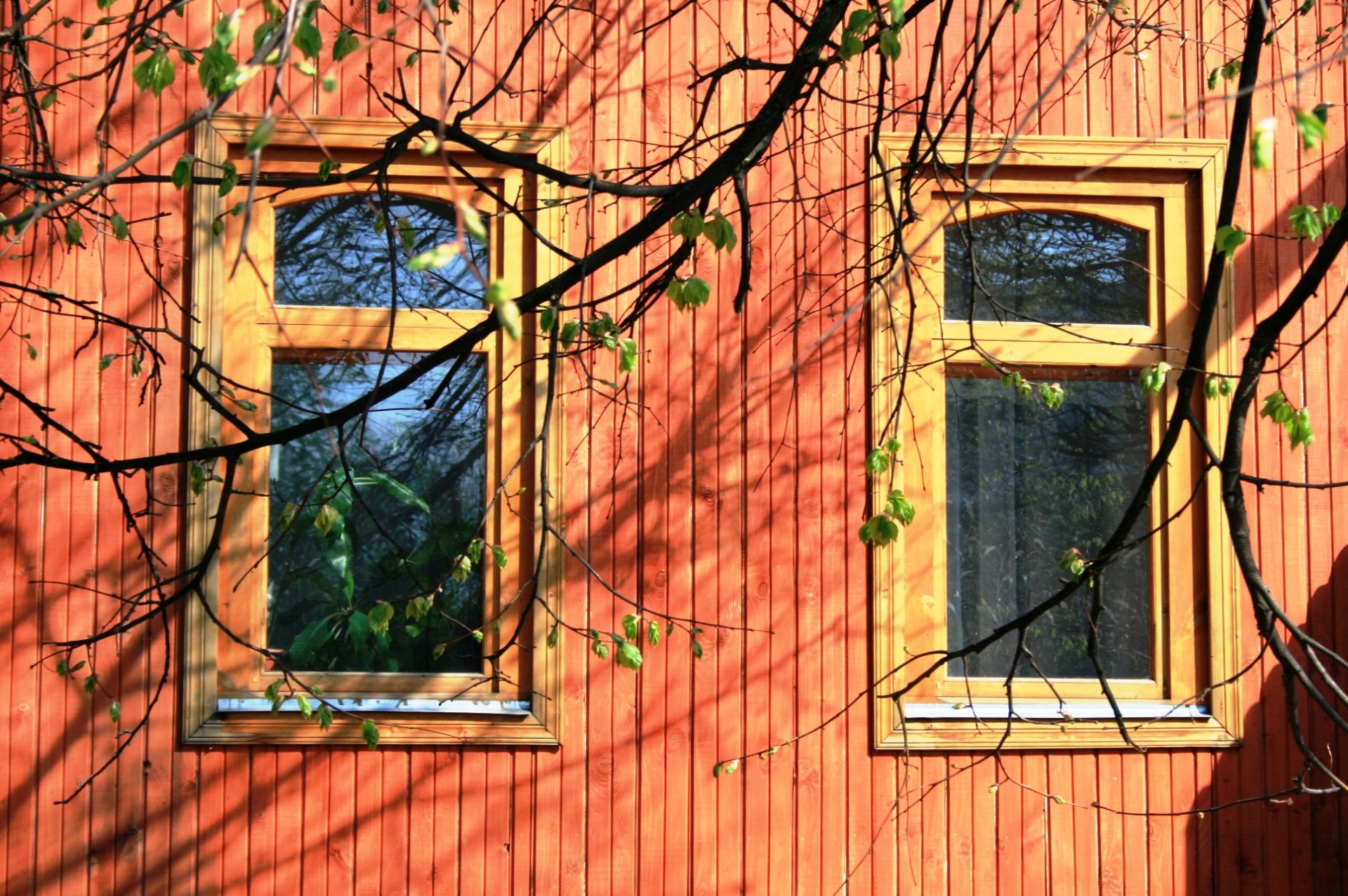 windows two glass free photo