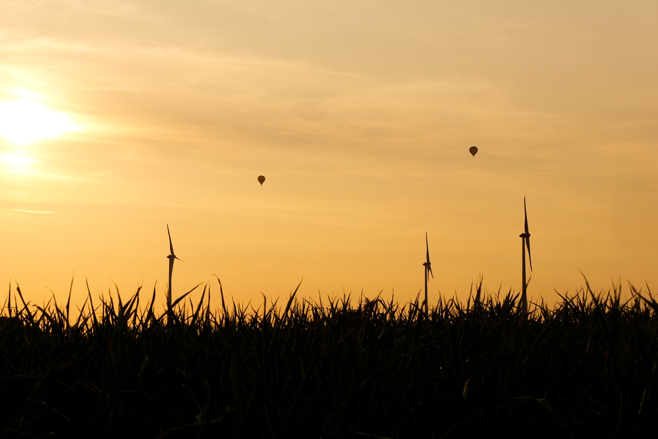 windräder  hot air balloon  sunset free photo