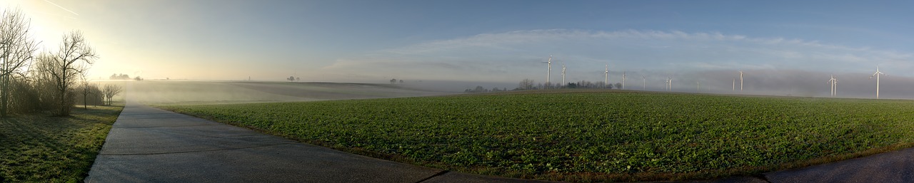 windräder  fog  sun free photo